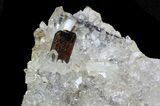 Tabular Brookite Crystals with Quartz - Pakistan #38653-3